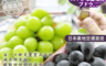 生活市集 3.8折! - 日本雙色無籽甜麝香葡萄