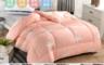 抗寒攻略 2.6折! - 清新保暖可水洗羽絲絨被