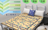 生活市集 3.3折! - MIT防潑水日式雙人床墊