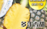 寶芝林 7.0折! - 大武山金鑽鳳梨