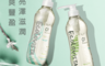 日本Ecolovista 2.8折! - 氨基酸植物精油洗髮精(清爽豐盈)
