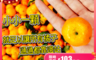 生活市集 3.5折! - 南投超迷你珍珠砂糖橘