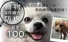 一起夢想–動物防虐案件調查 10.0折! - 一起夢想–動物防虐案件調查支持防虐調查工作，幫助動物脫離困境！