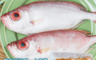 生活市集 2.8折! - 野生紅目鰱