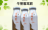 生活市集 6.7折! - 植品良食牛蒡銀耳露24入