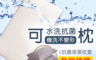生活市集 5.2折! - LooCa可機洗抗菌水洗枕2入