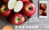 生活市集 4.1折! - 無農藥無蠟紐西蘭愛妃蘋果量販原裝箱10KG(24-30顆)