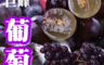 生活市集 4.0折! - 苗栗巨峰葡萄(3台斤/箱  共4箱)