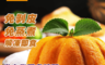 生活市集 9.0折! - 藏食館 即食香綿熟香栗南瓜泥