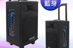 【Dennys】拉桿藍芽多功能擴大音箱(WS-660)