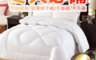 生活市集 3.9折! - 日本大和五星頂級飯店防螨抗菌被