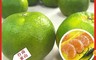 生活市集 3.7折! - 爽口多汁綠皮橘買一送一(10 斤)