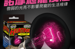 NOMO寵物爬蟲類加熱夜燈(夜間保溫/烏龜 蜥蜴 蛇)