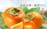 生活市集 8.5折! - 精選梨山高海拔甜柿(6 粒)