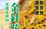 生活市集 4.7折! - 花蓮赤科山小農金針花(2 包)