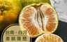生活市集 6.6折! - 歐吉商台南白河產銷履歷安心青皮椪柑(25A 10台斤)(10 台斤)