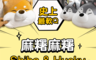 生活市集 7.0折! - 韓國熱銷聖誕節柴犬抱枕