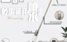 金德恩 3.8折! - 二合一噴水平板拖把 GS02244