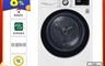 LG 樂金 9.5折! - 9公斤 WiFi變頻免曬衣乾衣機 （WR-90VW）