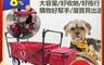 Nature Heart 7.0折! - 旗艦款後煞露營推車(含頂棚/置物箱/推拉桿)