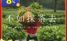 茶葉禮盒 6.1折! - 嚴選高山茶  送禮選好茶 情誼永常存