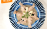 野人舒食 8.1折! - 馬告燉雞湯 六隻小雞腿 溫暖飽足大份量(3 包)