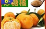 果味仙 5.3折! - 橘中之王 砂糖橘 5斤禮盒