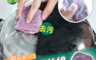 生活市集 3.1折! - 強力去污鋼絲皂刷(鋼絲刷 自帶皂粉 強力去汙)(30 入)