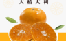 生活市集 7.3折! - 台灣水果茂谷柑禮盒(5斤)