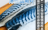 鮮浪 6.4折! - 超厚切挪威薄鹽鯖魚片(10 包)