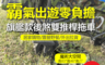 Natural Heart 6.2折! - 旗艦款後煞露營推車