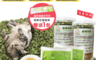 寵物夢工廠 7.2折! - 20入 / 寵物茶包 台灣製貓薄荷草茶包 貓草 幫助腸胃蠕動排出毛