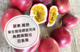 屏東草生栽培網室百香果(5 台斤)