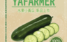 生活市集 8.8折! - 窩心菜舖窩心菜舖-水果小黃瓜(4 盒)