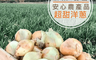 生活市集 6.2折! - 歐吉商 屏東枋山安心超甜洋蔥(8 台斤)