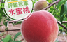 生活市集 7.4折! - 歐吉商高雄那瑪夏冠軍水蜜桃(12 顆)