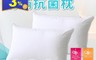生活市集 3.7折! - 日本大和防汙抗菌枕 防塵抗菌 飯店枕頭 羽絲絨枕  天絲枕(16 入)