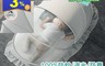 生活市集 5.1折! - 防蚊遮光防塵蒙古包蚊帳(6 入)