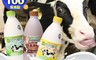四方鮮乳 2.9折! - 乳品系列-全脂鮮乳、低脂鮮乳、巧克力調味乳-946ml(瓶)