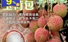 生活市集 3.8折! - 大樹爆汁33mm+玉荷包荔枝禮盒