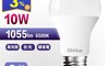 Glolux 4.5折! - 10W 高亮度LED燈泡(北美品牌  白光)