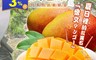 好揪 5.7折! - 盛夏紅寶石屏東枋山愛文芒果