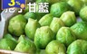 生活市集 3.7折! - 比利時冷凍蔬菜孢子甘藍1kg 維他命C 維他命K 涼拌 清炒 醃漬 健康 低卡