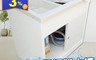生活市集 2.7折! - 日式穩固耐用ABS櫥櫃式雙槽塑鋼雙槽式洗衣槽 雙門 雙向滑動拉門 台灣製造