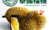 生活市集 8.2折! - 越南鮮採金枕頭榴槤 大果 原裝箱(12kg±10% 3-4顆/箱)