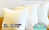 生活市集 5.9折! - 台灣製55x55公分抱枕芯 高級中空棉 柔軟飽滿 可清水手洗 超值價格