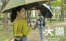 雨之情 5.1折! - 大顯威風自動直傘 K194 紳士藍 高貴紫 幸運綠 天空藍