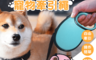 生活市集 5.0折! - 一鍵自動伸縮寵物牽引繩 寵物牽繩 3米/5米 (淺灰/粉紅/淺藍)
