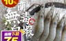 艾吃蝦 7.3折! - 宜蘭益生菌白蝦L 肉質飽滿Q彈 益生菌養殖  (500g L 白蝦)