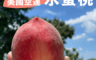 生活市集 6.5折! - 美國空運水蜜桃原裝箱 季節限定產地直送 香甜多汁 含水量高 (5kg/盒)
